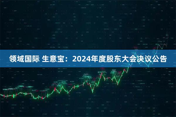 领域国际 生意宝：2024年度股东大会决议公告