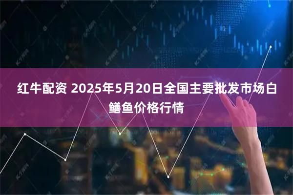 红牛配资 2025年5月20日全国主要批发市场白鳝鱼价格行情