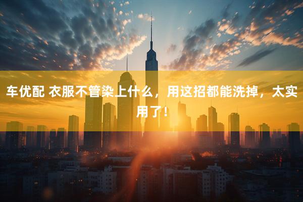 车优配 衣服不管染上什么，用这招都能洗掉，太实用了！