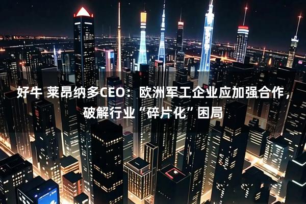 好牛 莱昂纳多CEO：欧洲军工企业应加强合作，破解行业“碎片化”困局